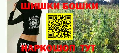 крисы Кунгур
