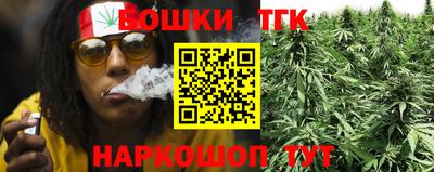 стаф Лесосибирск